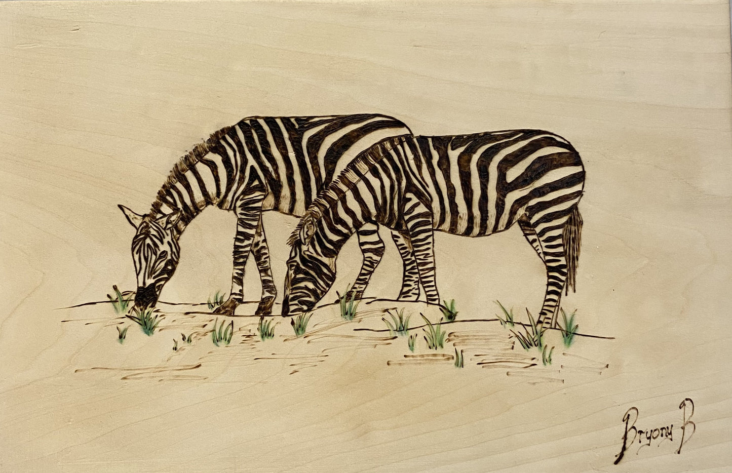 Pyrography Workshop - Thursday 22nd January 2026