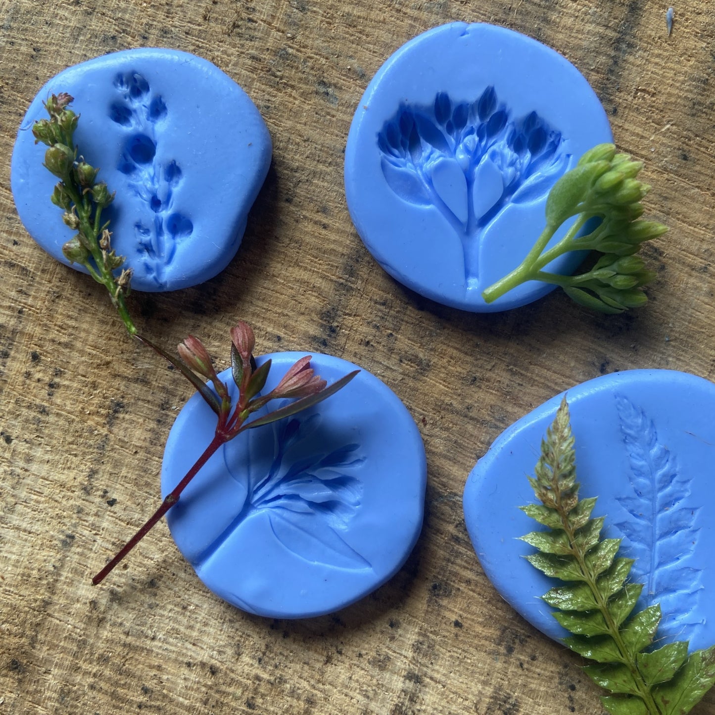 Silver Clay Jewellery Capturing Nature Workshop - Tuesday 21st October 2025