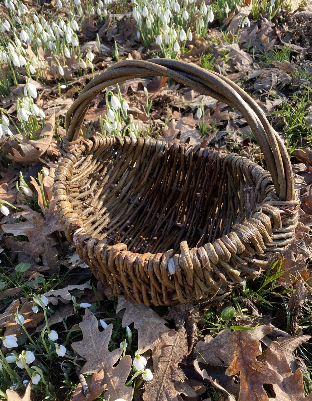 Willow Framed Basket Workshop - Saturday 21st March 2026