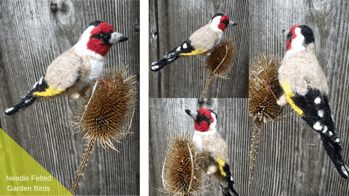Needle Felting Kit to Make a Garden Bird - Click for Options