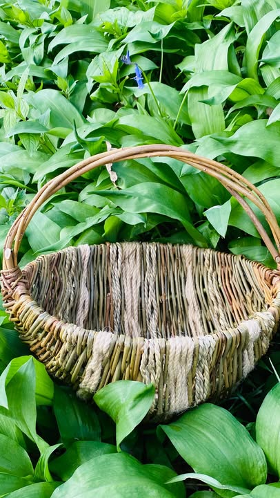 Willow Framed Basket Workshop - Wednesday 5th August 2026