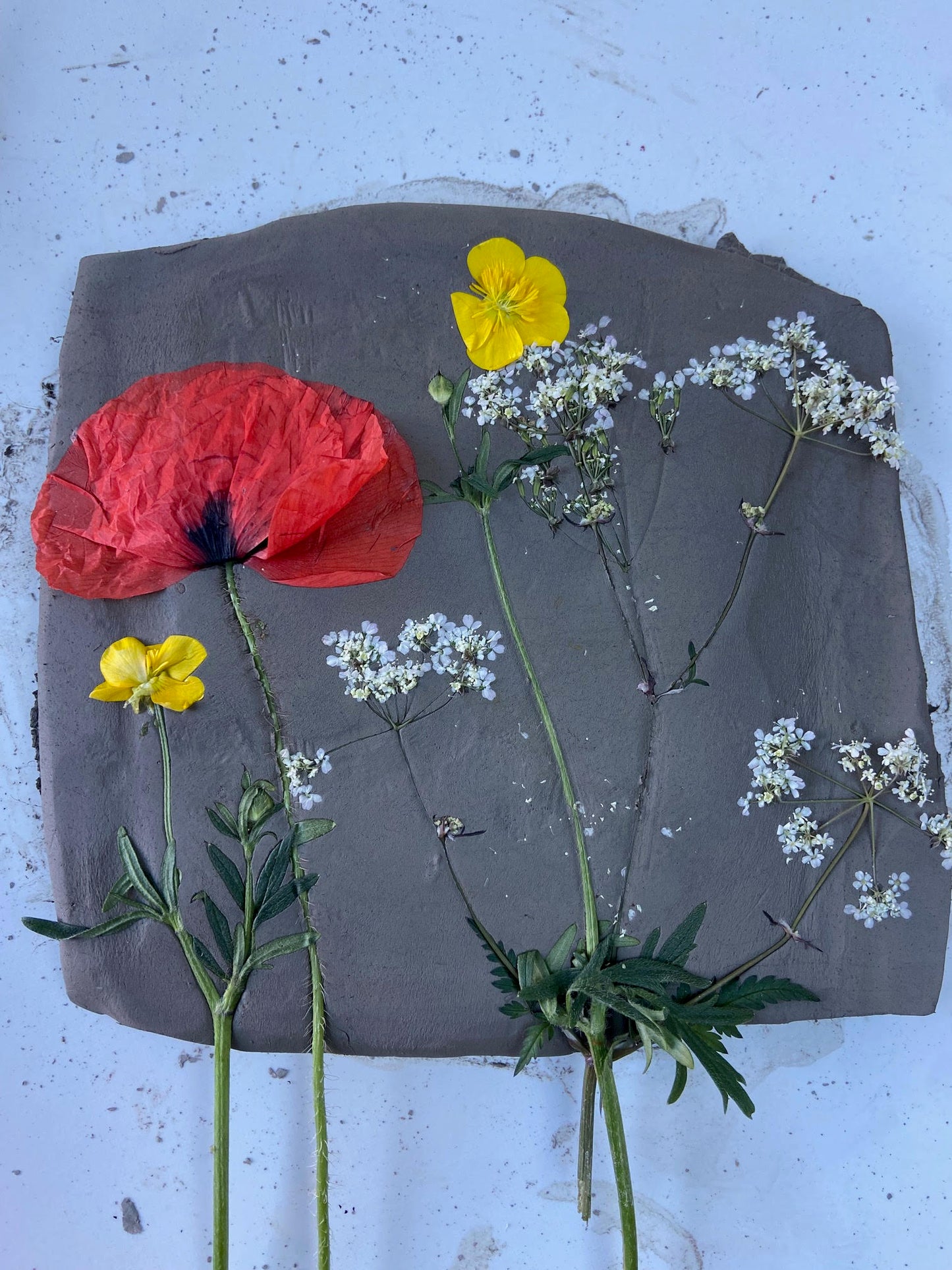 Botanical Bas-Relief Casting Workshop NEW! - Sunday 15th November 2026