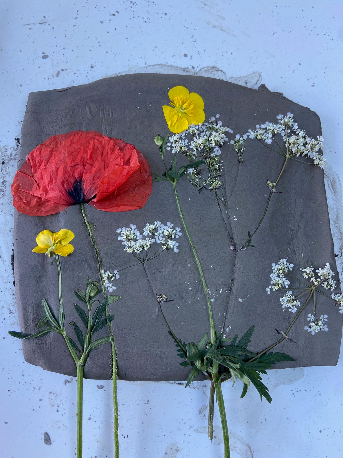 Bas-Relief Casting Workshop - Sunday 21st March 2027