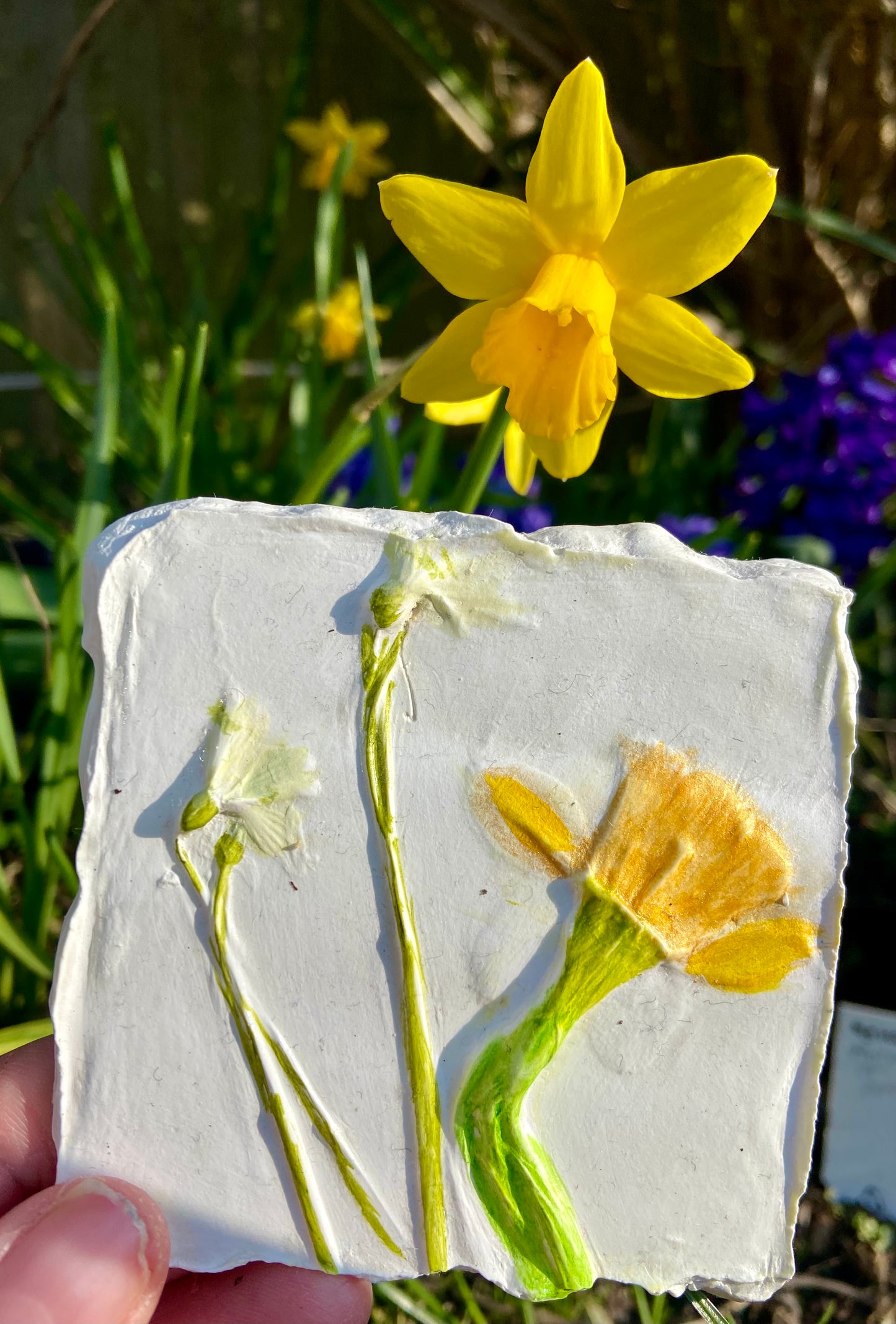 Botanical Bas-Relief Casting Workshop NEW! - Sunday 15th November 2026