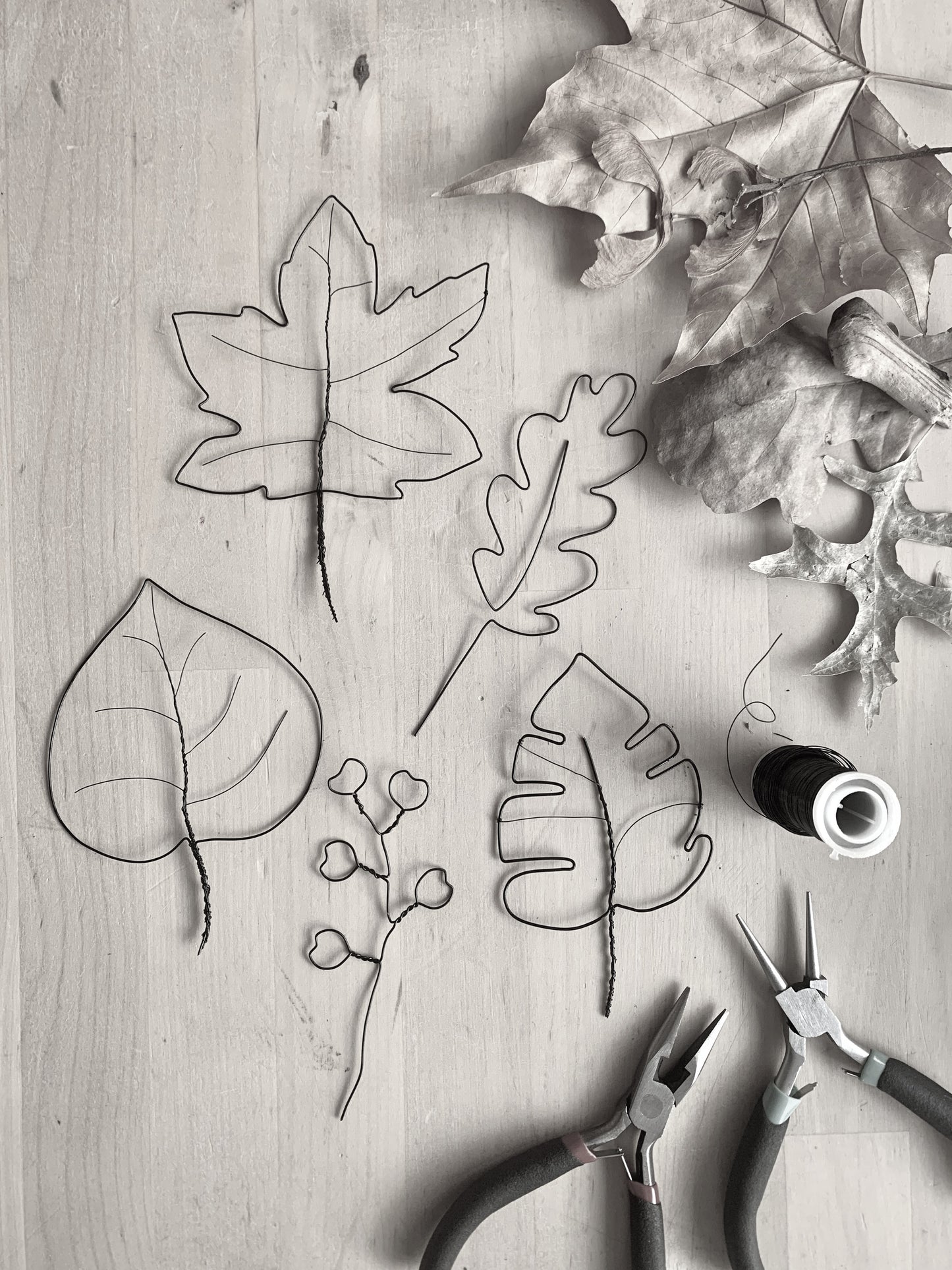 Wire Leaves in a Frame Workshop NEW! - Sunday 6th September 2026