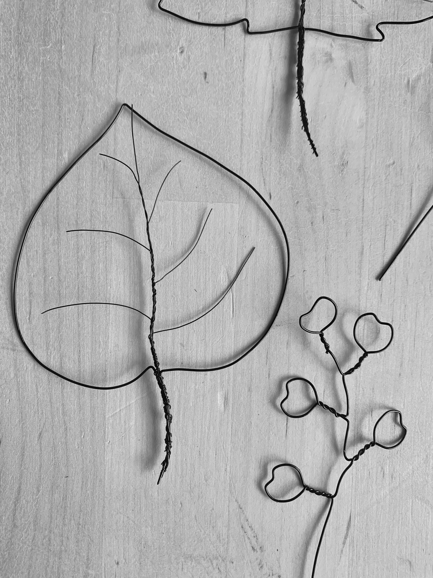 Wire Leaves in a Frame Workshop NEW! - Sunday 6th September 2026