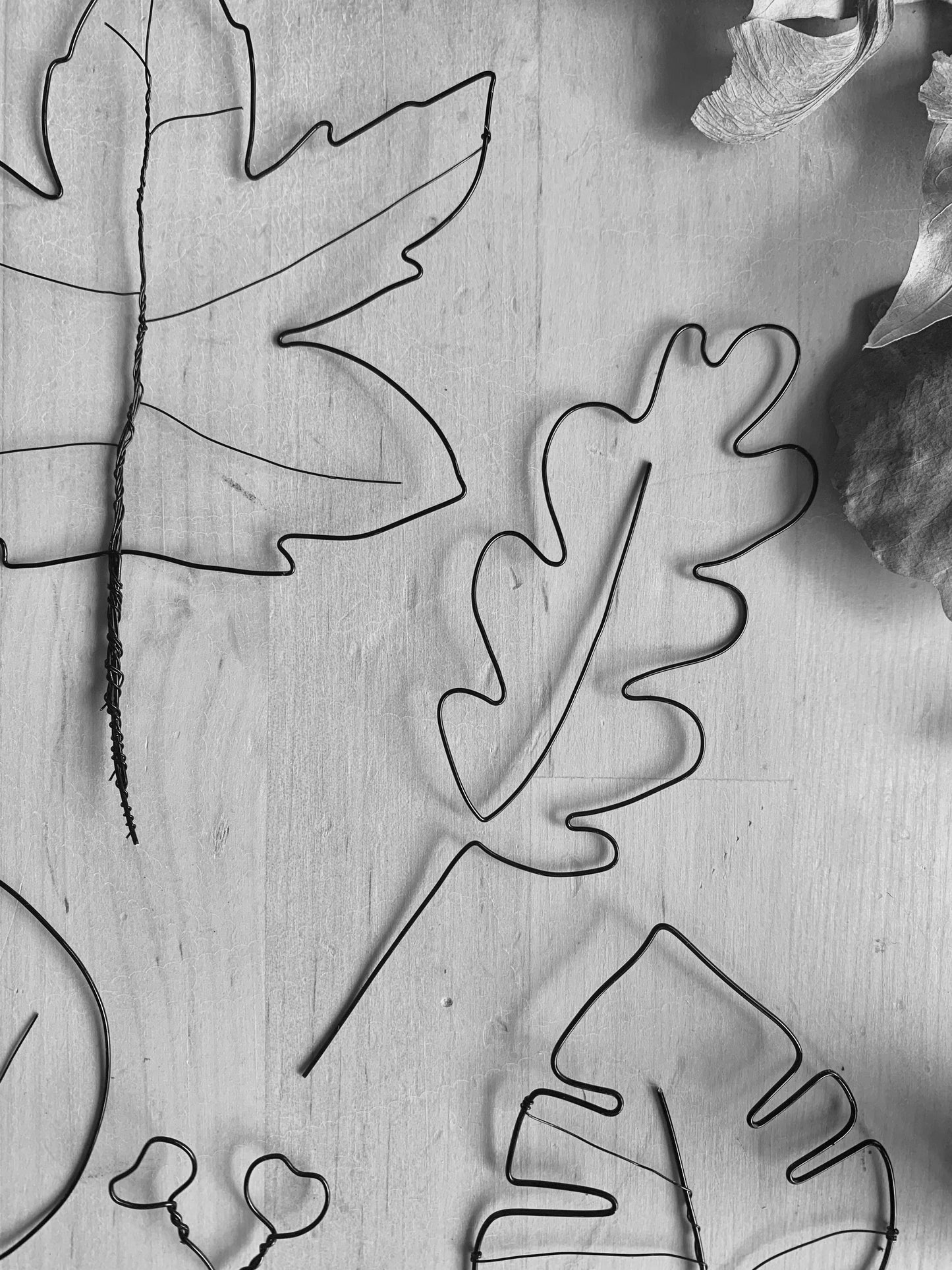 Wire Leaves in a Frame Workshop NEW! - Sunday 6th September 2026