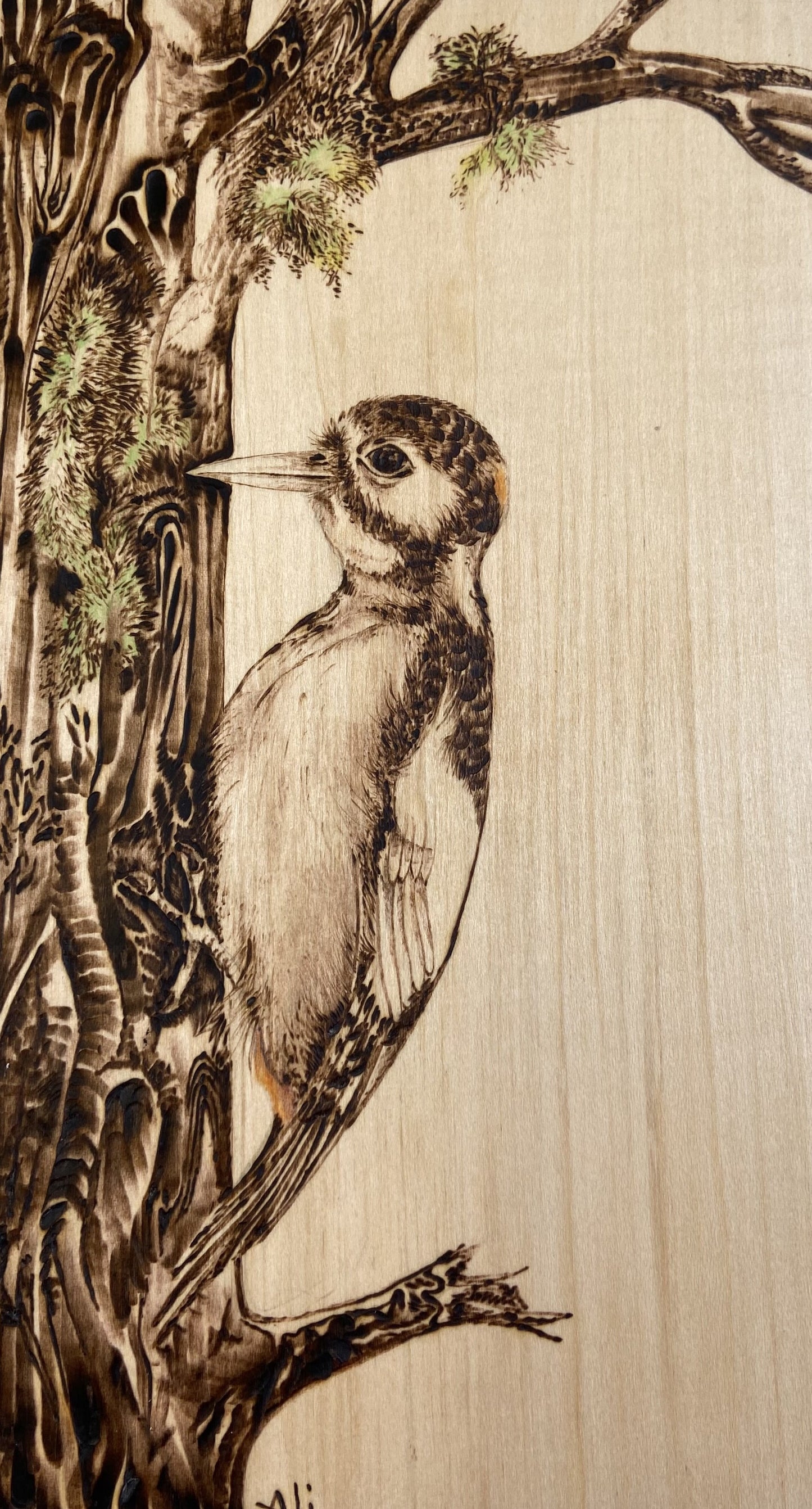 Pyrography Workshop - Thursday 22nd January 2026