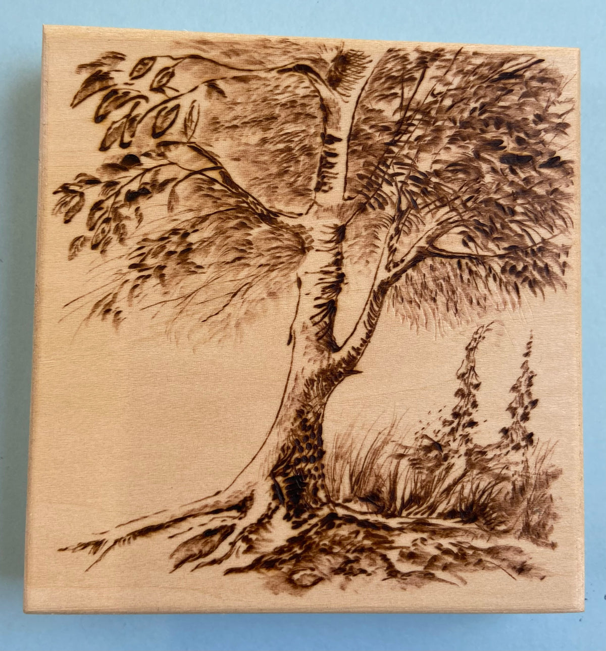 Pyrography Art Workshop - Sunday 21st February 2027