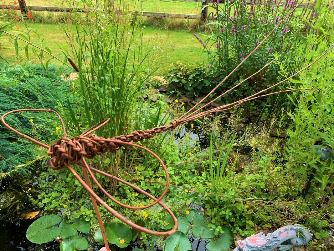 Willow Weaving Bullrushes, Dragonflies & Birdfeeder Workshop NEW! - Saturday 4th July 2026
