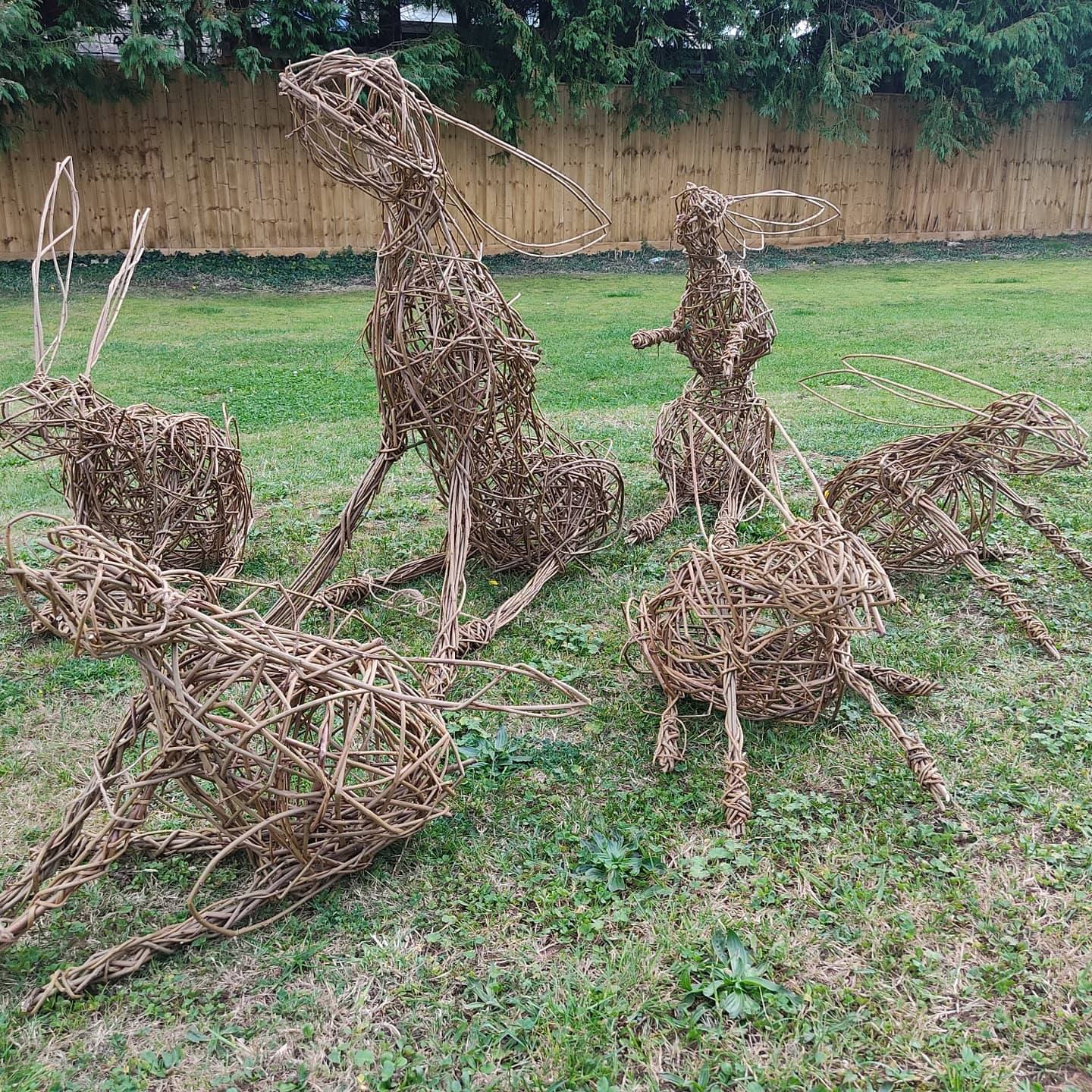 Willow Freestyle Workshop - Friday 8th March 2024
