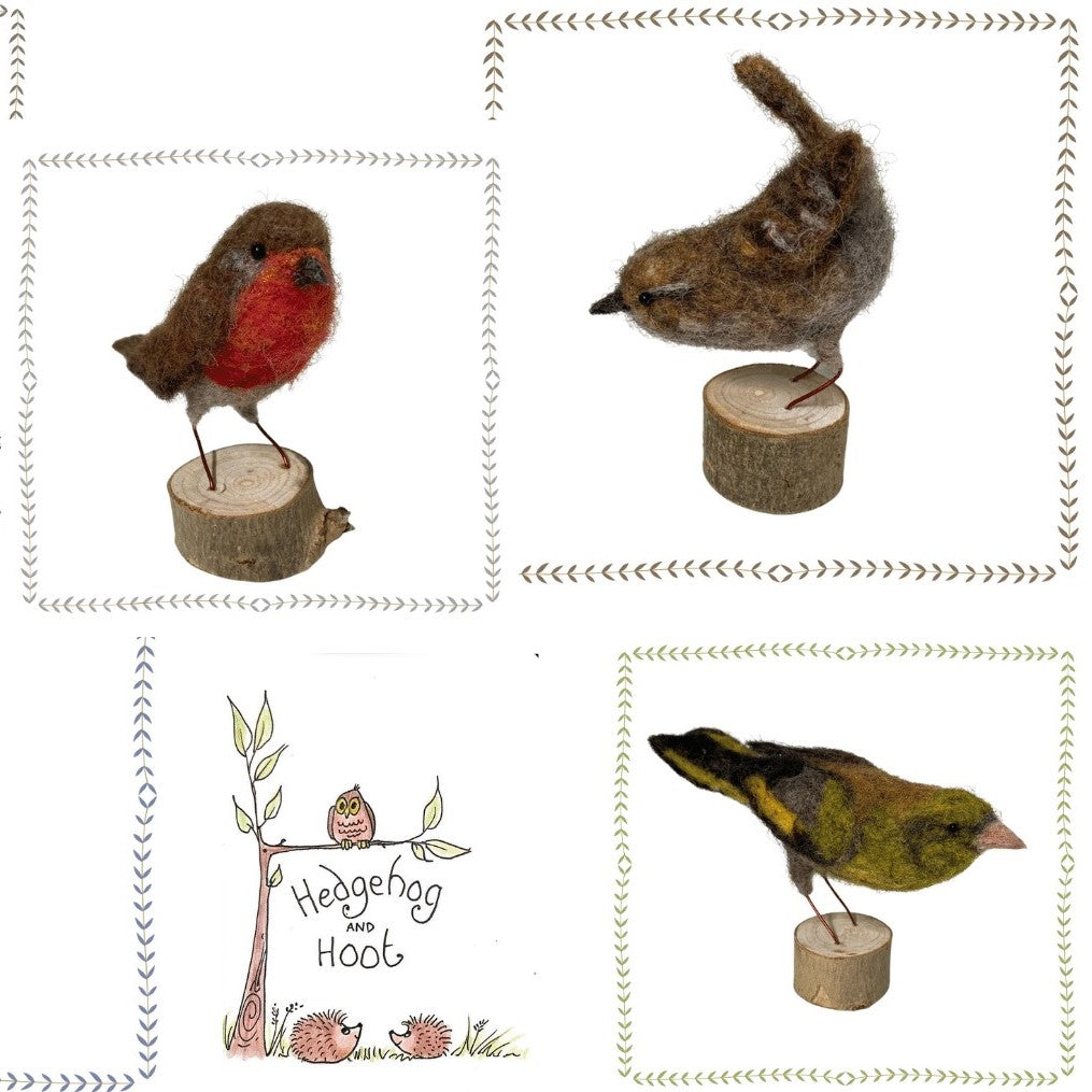 Needle Felting Kit to Make a Garden Bird - Click for Options
