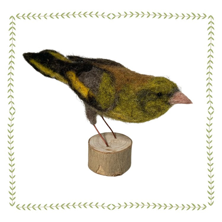 Needle Felting Kit to Make a Garden Bird - Click for Options